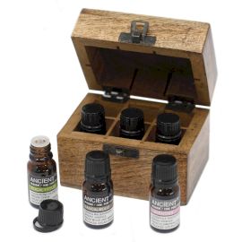 Ätherische Öle Geschenkset – Top 6 Aromatherapie Klassiker in Holzbox